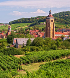 Visiter les vignobles de Bourgogne